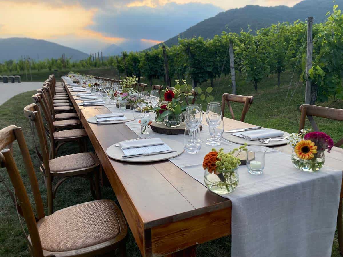 dinner table in the wineyards